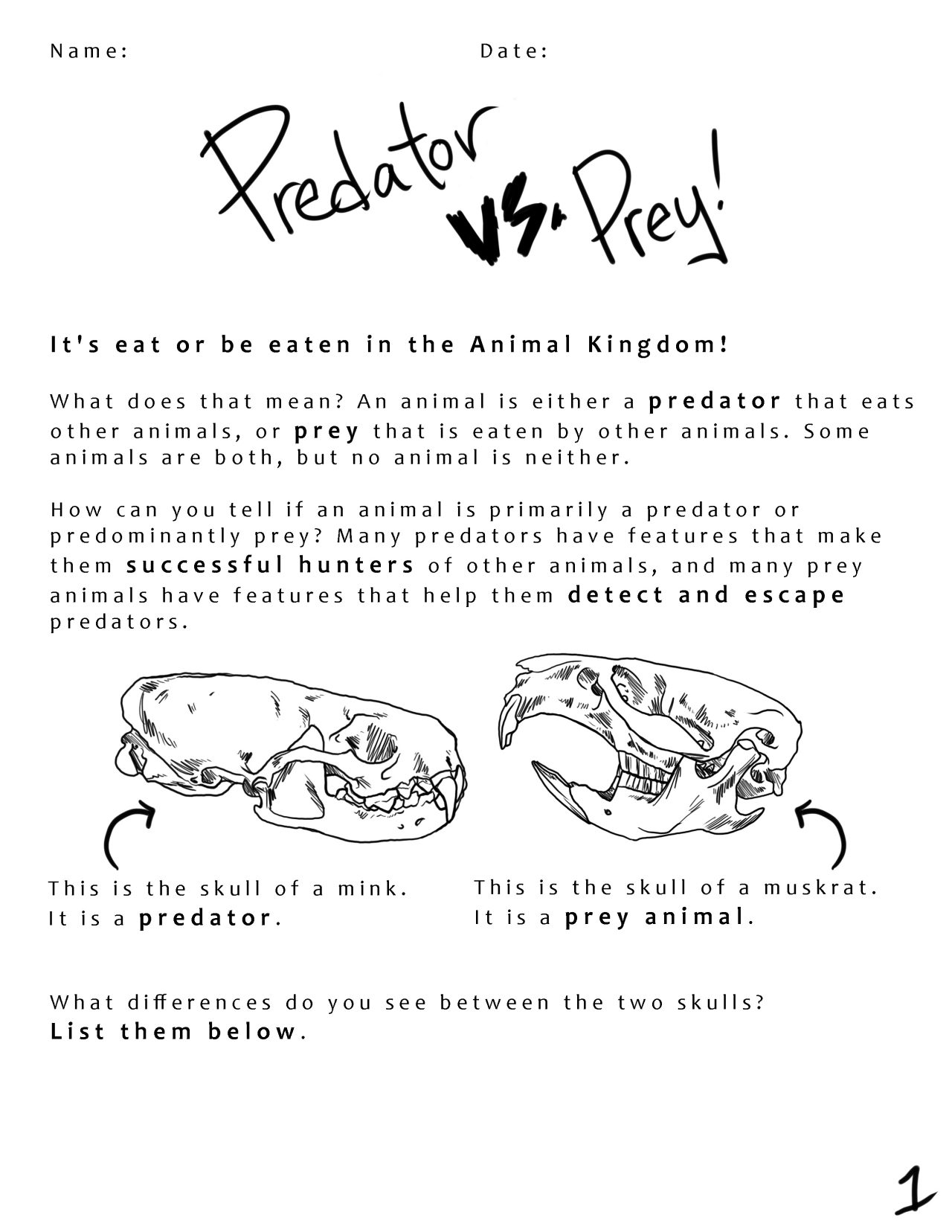 predator vs prey worksheet